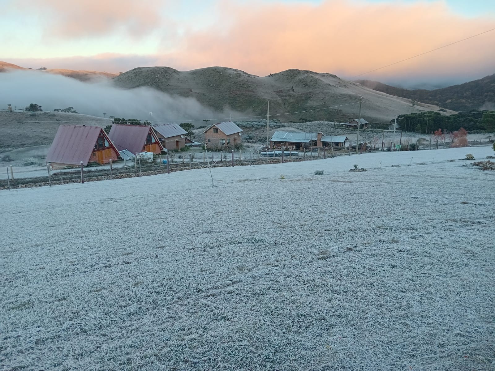 'Frio Grande do Sul': estado tem amanhecer com temperaturas negativas e geada pelo 2º dia