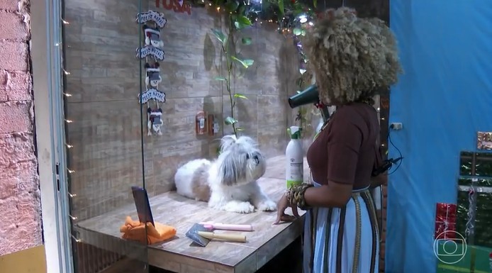 Número de pequenas empresas abertas em 2025 foi o maior já registrado