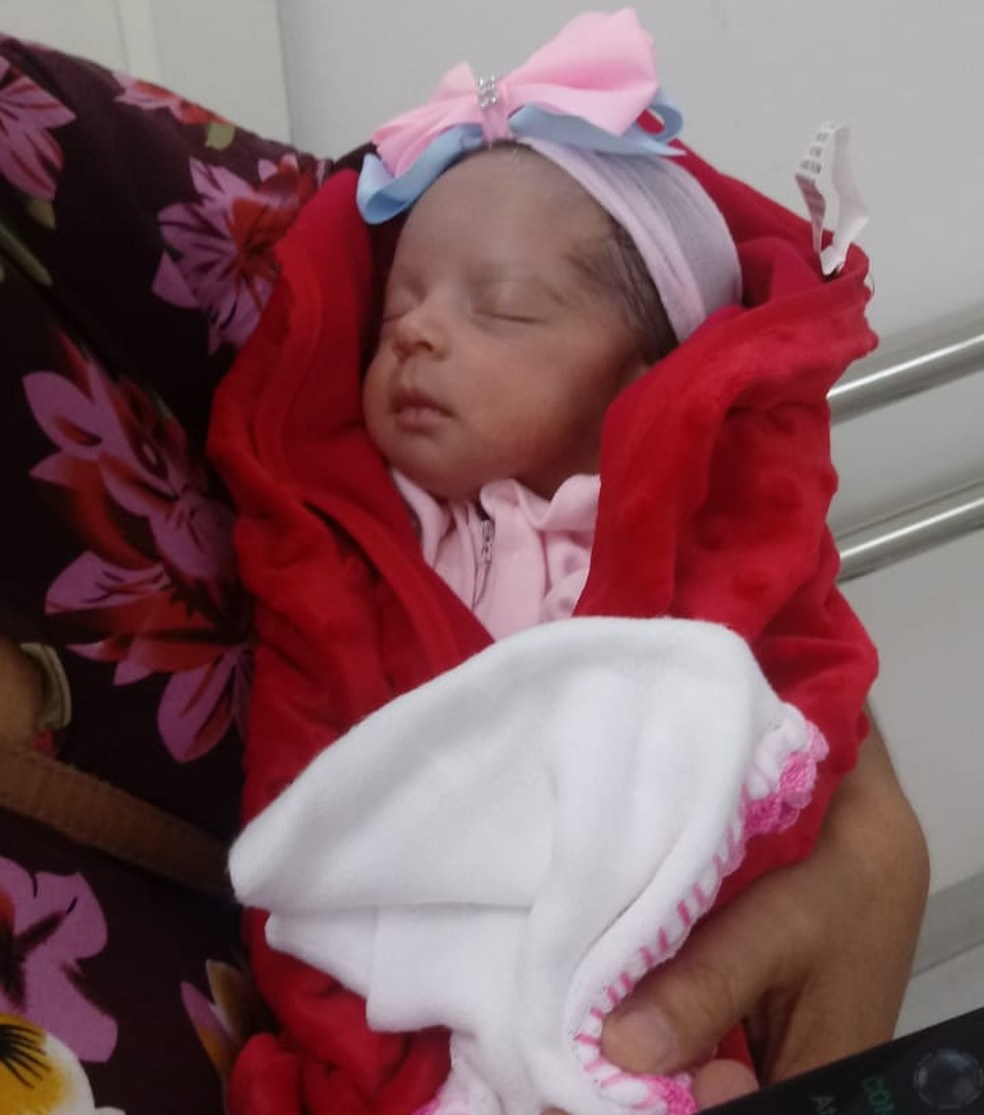 Bebês são devorados por ratos gigantes - Alagoas 24 Horas: Líder em  Notícias On-line de Alagoas