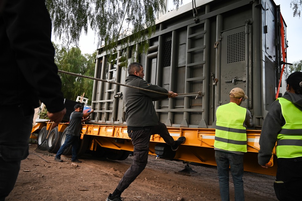 Durante o transporte, a elefanta só terá contato com três pessoas autorizadas — Foto: Governo de Mendoza