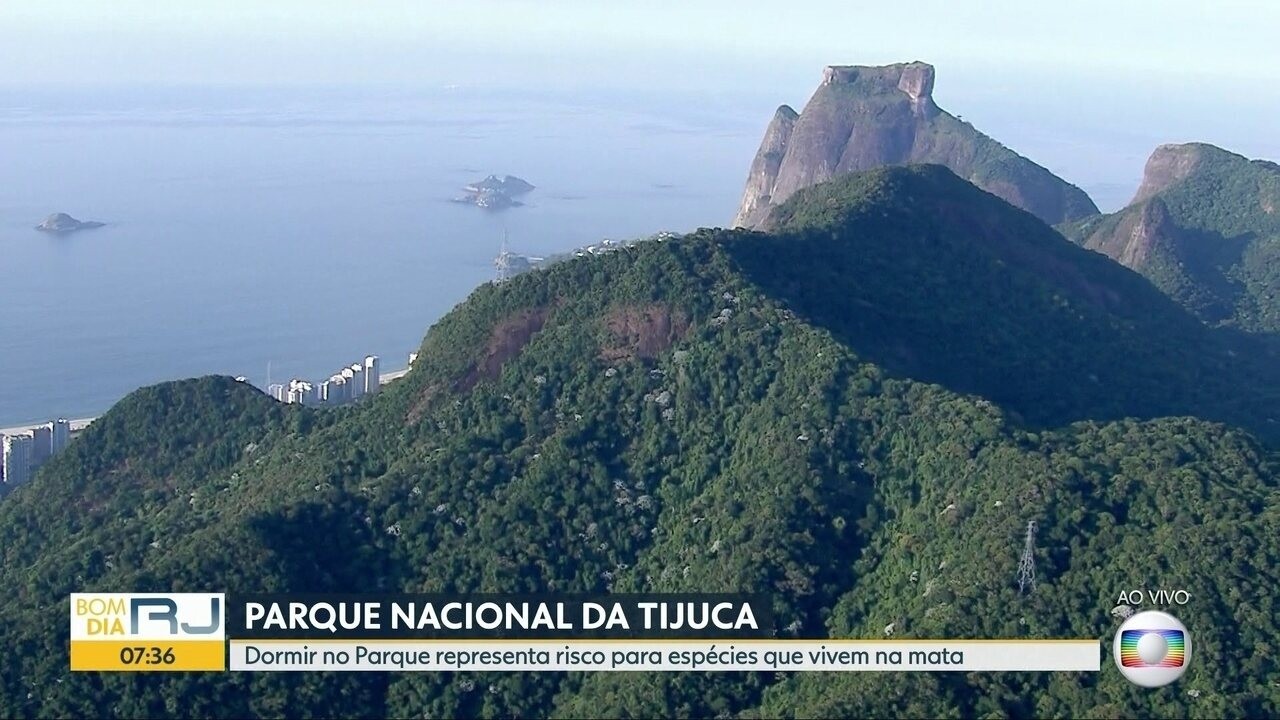 Parque Nacional da Tijuca, no Rio, alerta para o risco do pernoite ...