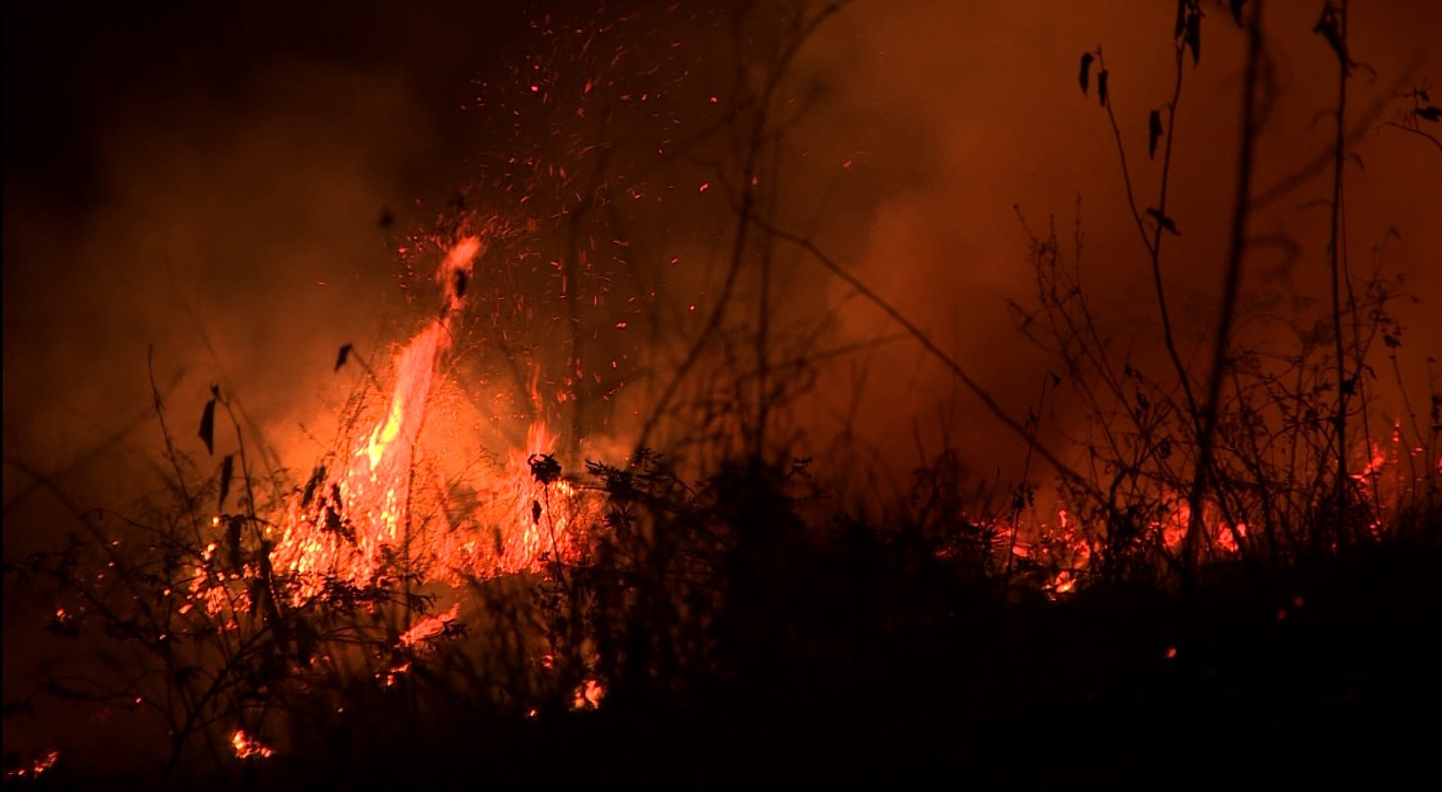 VÍDEO: incêndios atingem ao menos três áreas de mata e mobilizam Corpo de Bombeiros em Campinas