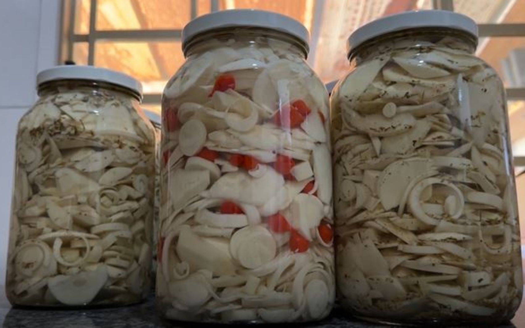 Conserva de guariroba: Sabores do Campo ensina receita tradicional