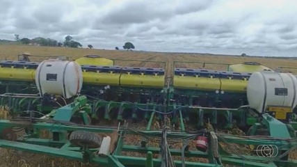 Falta de chuva na Região Sul do Tocantins causa problemas à agropecuária