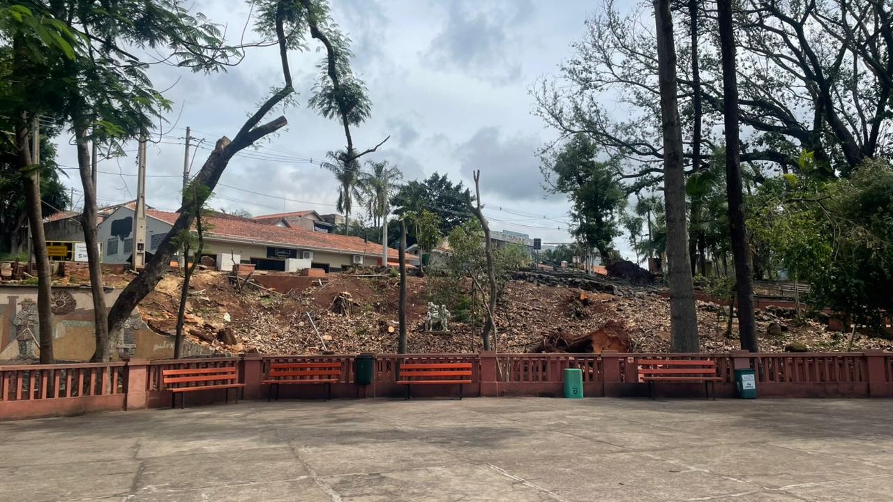 Prefeitura de Piracicaba promete repor árvores no Parque do Mirante após chuva que abriu clareiras; veja fotos