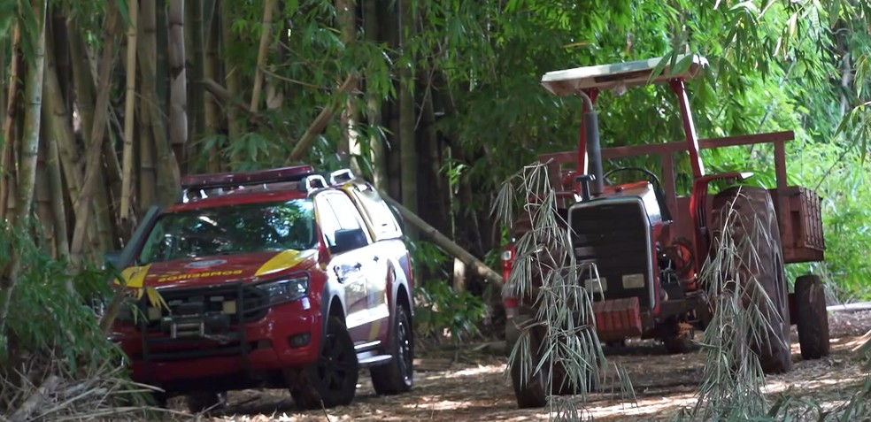 Corpo de Bombeiros realiza buscas por Lucas na região em que a caminhonete foi encontrada. — Foto: Ronaldo Vanzo/RPC