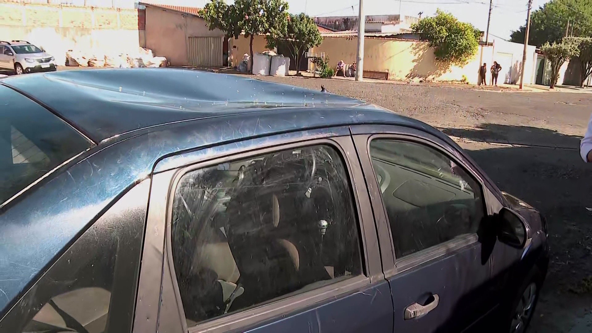 'Não tinha muito o que fazer', diz adolescente que subiu em carro para se proteger de cão 'em fúria' no interior de SP