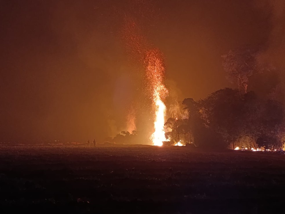 Incêndio em área de preservação em Pompeia (SP) — Foto: Arquivo pessoal