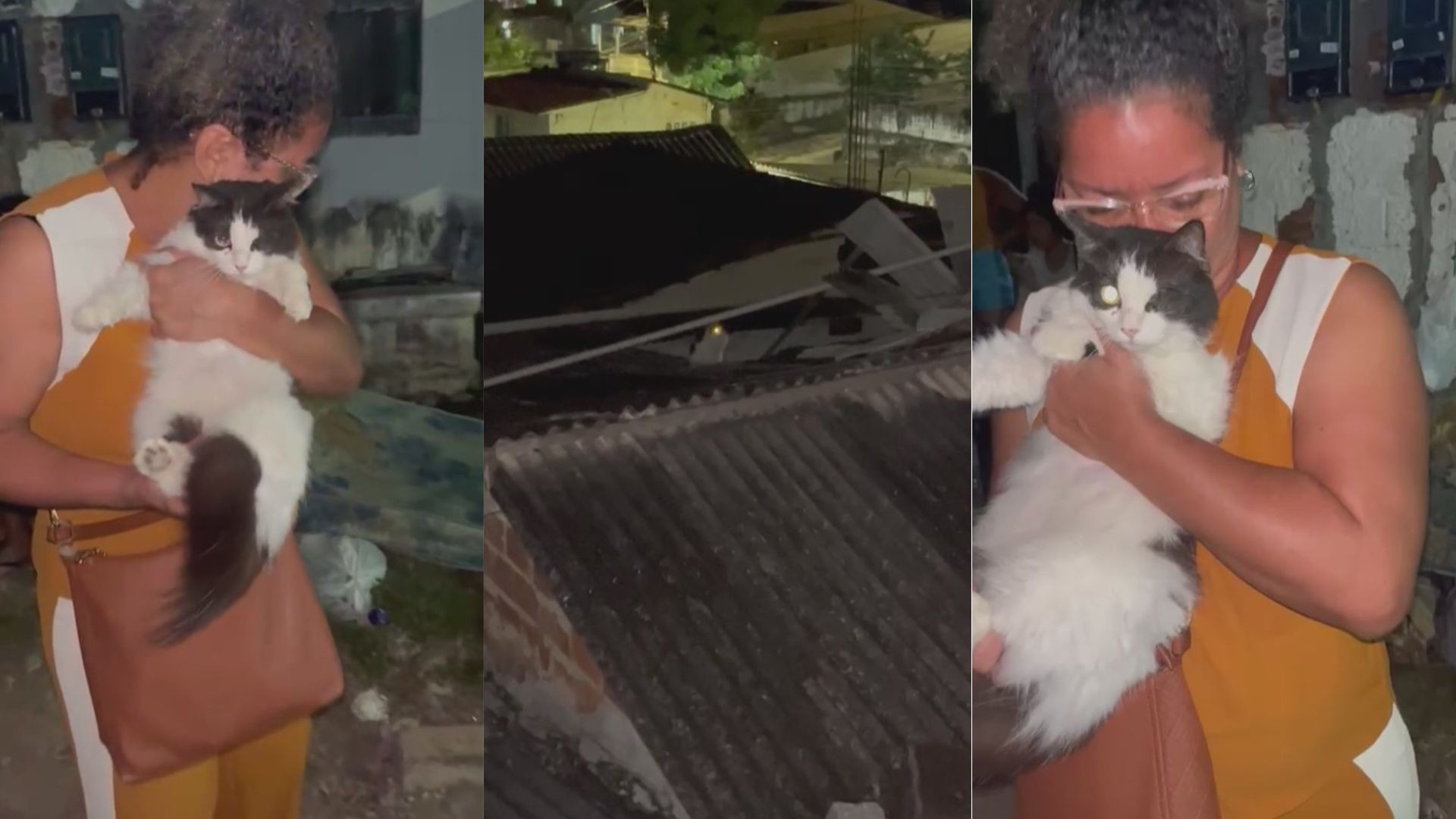 Gata de moradora que escapou de explosão em Olinda é resgatada em meio a escombros: 'Estou com o coração menos apertado' 