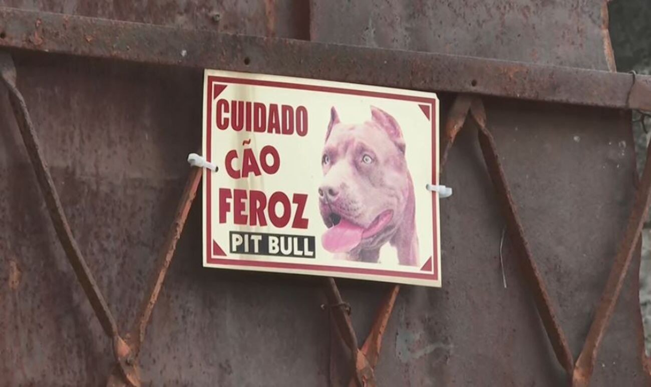 Cão pit monster foge e ataca 3 pessoas na rua; PM usa arma de choque para conter animal