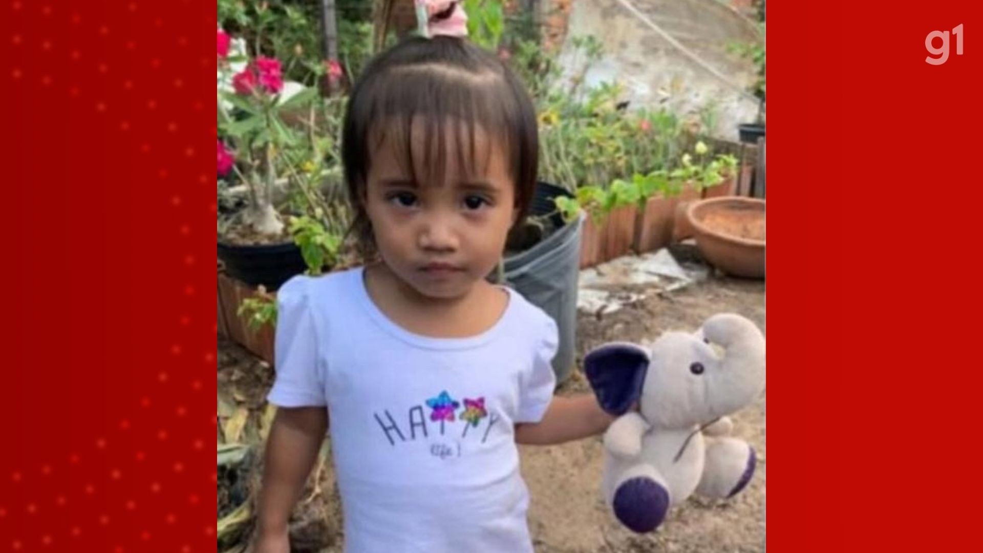 Criança de 2 anos morre afogada em piscina de pousada, em Imperatriz (MA)