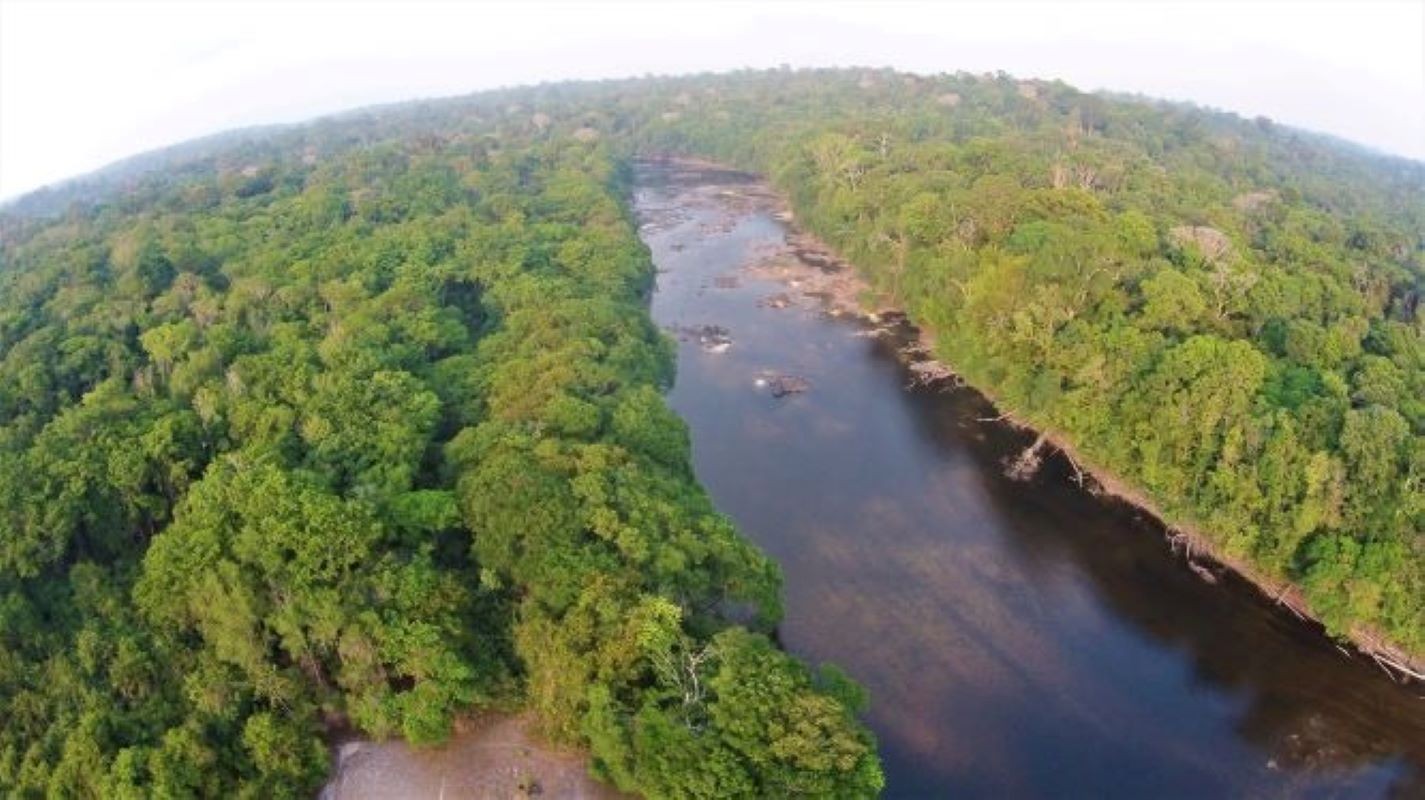 Grupo desaparece em floresta de difícil acesso no Amapá | G1