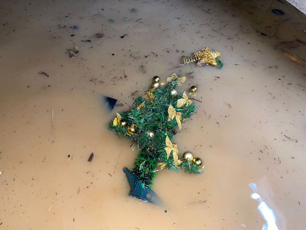 Água cobre árvore de Natal caída após alagamento de casa em Natal — Foto: Pedro Trindade/Inter TV Cabugi