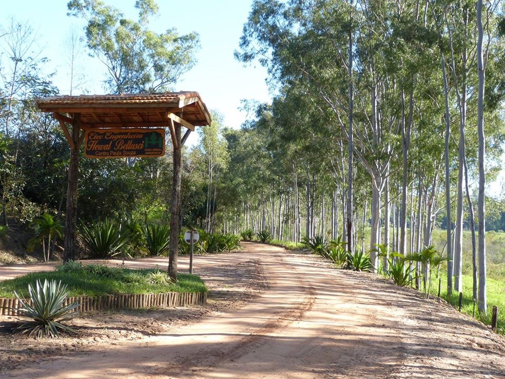 Etec 'Engenheiro Herval Bellusci', em Adamantina (SP) — Foto: Centro Paula Souza