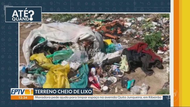 Jaguatirica é resgatada após se esconder dentro de banheiro em condomínio de Franca, SP