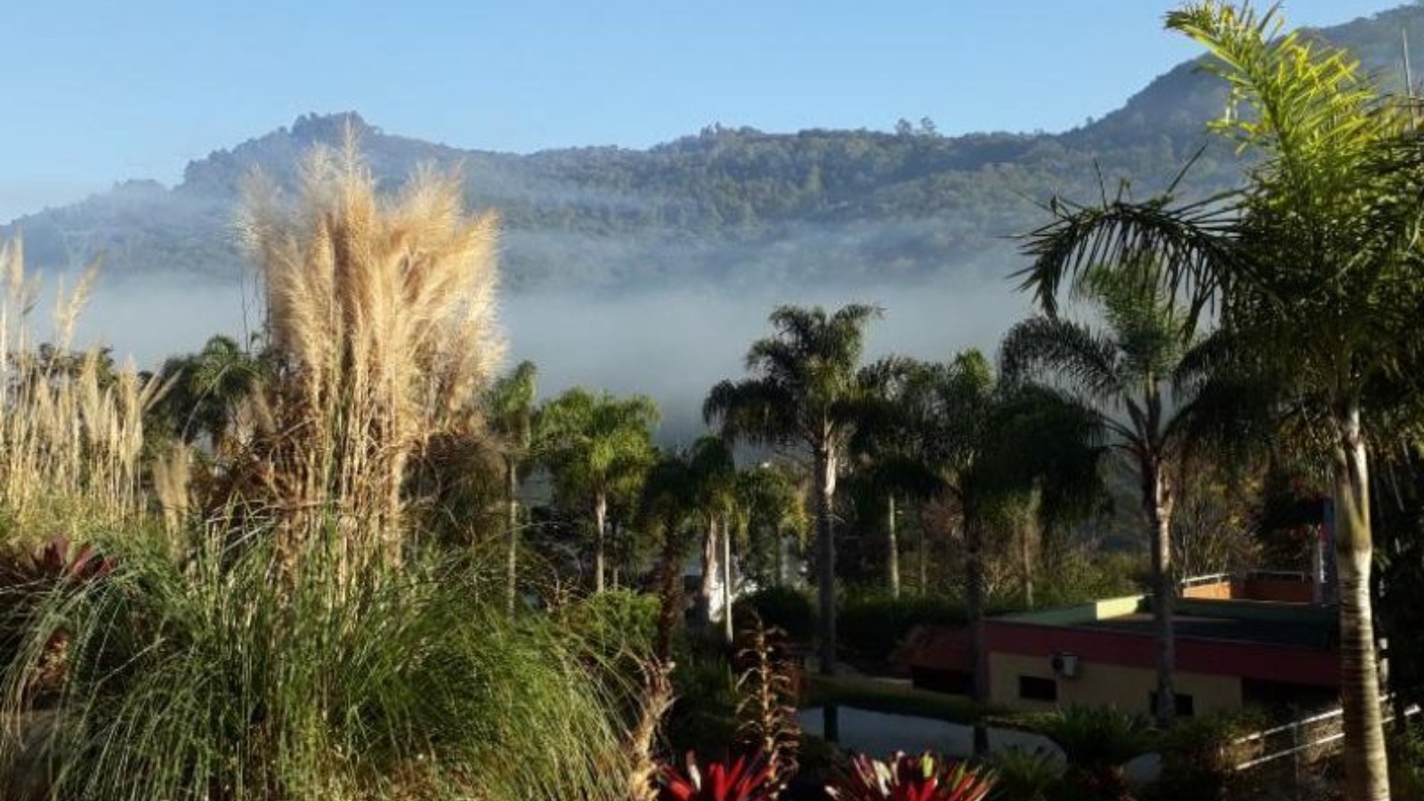 Jardim Botânico de Poços está aberto para visitação aos sábados e domingos