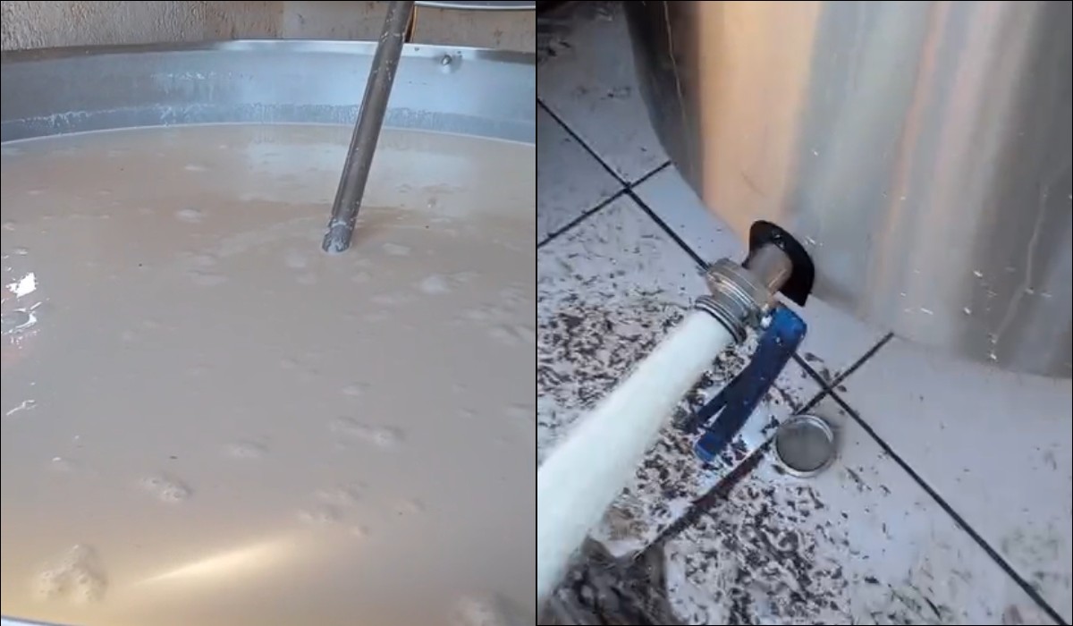 Produtores rurais descartam milhares de litros de leite após falta de energia provocada por temporal no Oeste Paulista