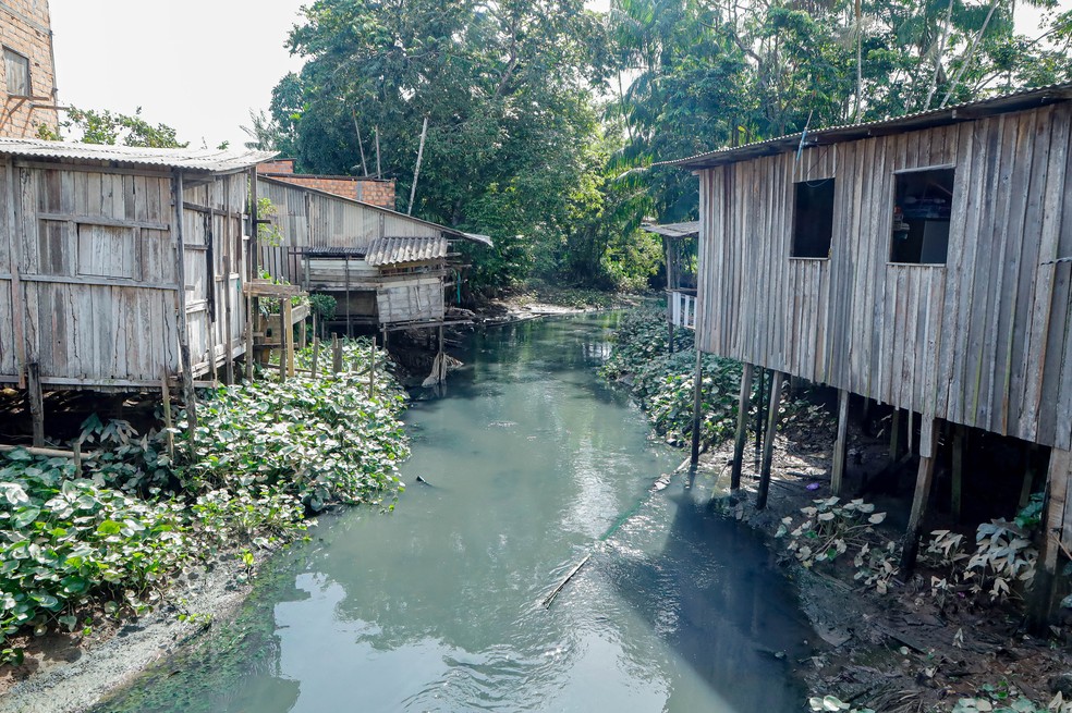 Igarapé Mata Fome, em Belém, COP 30. — Foto: João Gomes/Comus