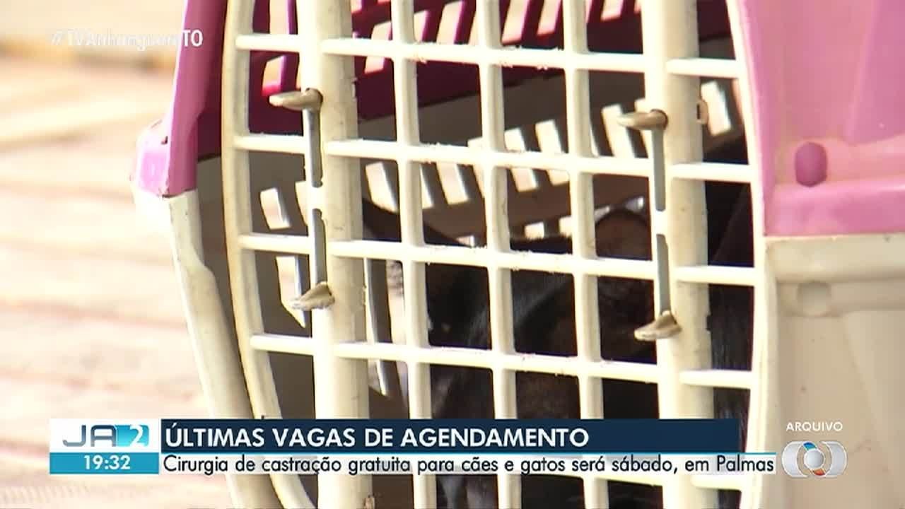 
VÍDEOS: Jornal Anhanguera 2ª Edição-TO de quinta-feira, 30 de julho de 2026