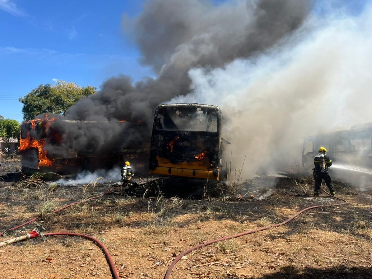 Fogo em vegetação se espalha e destrói sucatas de ônibus em Palmas 