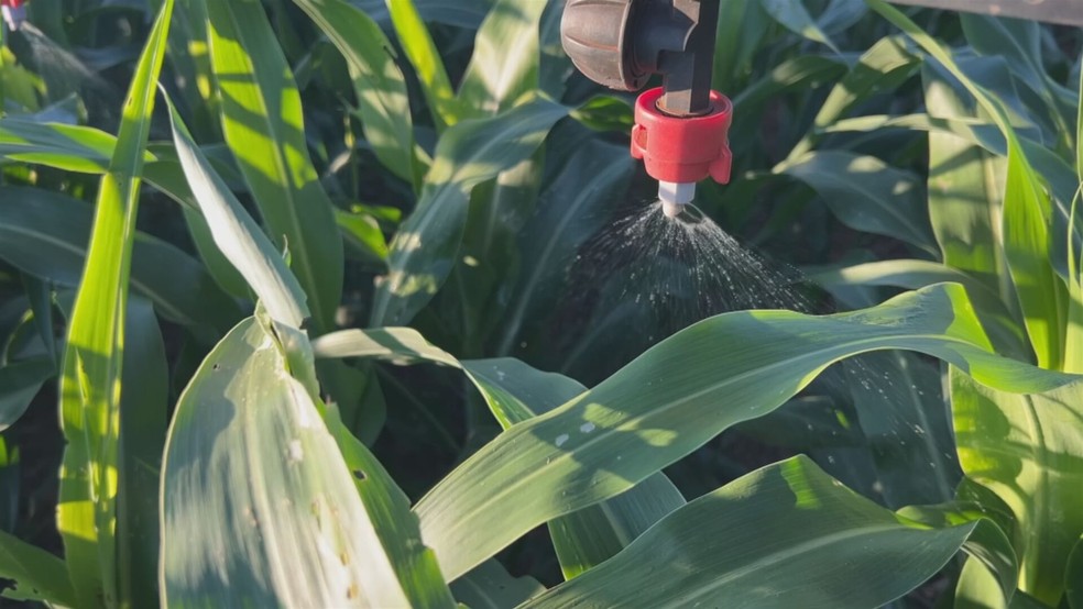Novas tecnologias reduzem erros e desperdício no agro no interior de SP — Foto: Reprodução/TV TEM