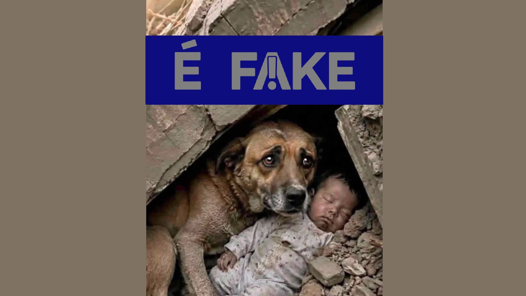É #FAKE foto de cachorro protegendo bebê em terremoto na Venezuela; imagem foi criada com inteligência artificial