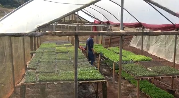 Agricultura sustentável é tema de evento em Francisco Beltrão 