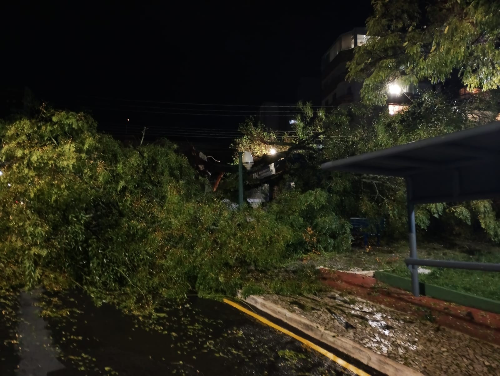 Temporal com granizo e ventania causa destelhamentos e queda de árvores no PR, que segue em alerta para tempestades neste domingo (17)