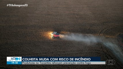 Colheita muda com o risco de incêndio