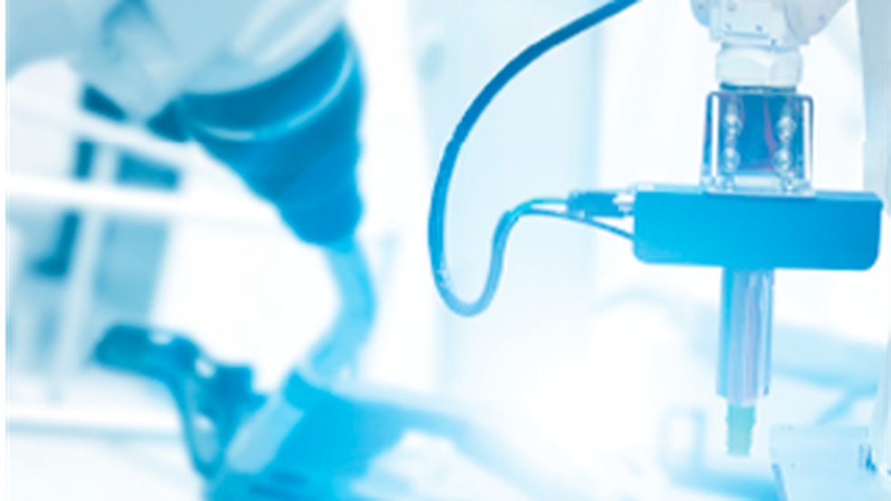 Crescimento sólido e eficaz — Foto: Adobe Stock