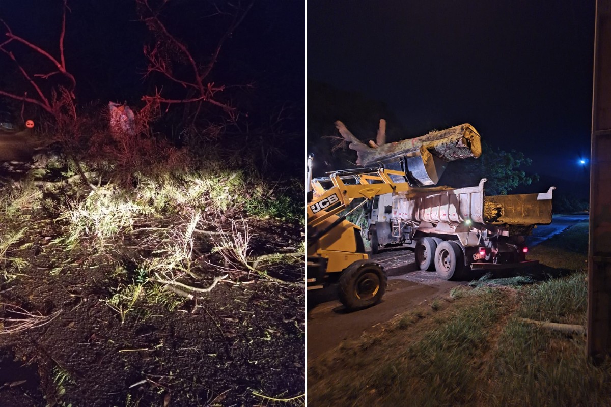 Granizo, alagamentos e queda de árvores marcam temporal no Oeste Paulista; confira a previsão