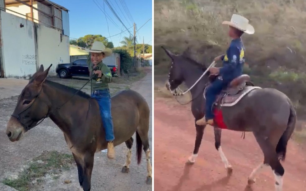 Em vídeo, menino comemora que reencontrou mula perdida a caminho da Romaria de Trindade — Foto: Arquivo Pessoal/Gabriela Ferreira