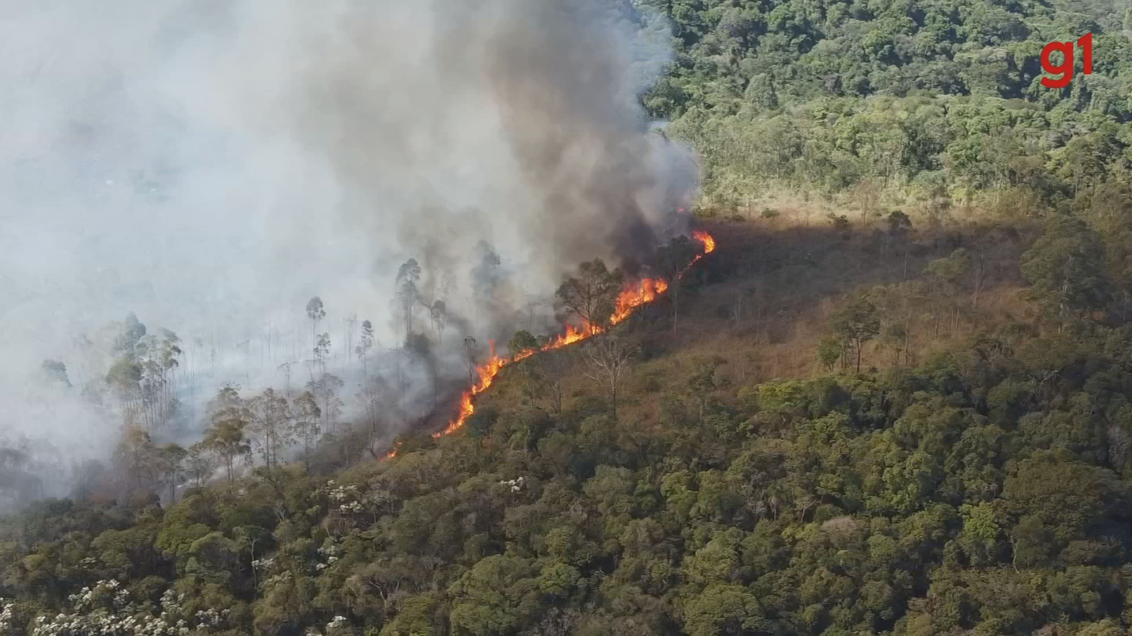Incêndio atinge área de transição entre Cerrado e Mata Atlântica e destrói quase 190 mil metros quadrados de vegetação