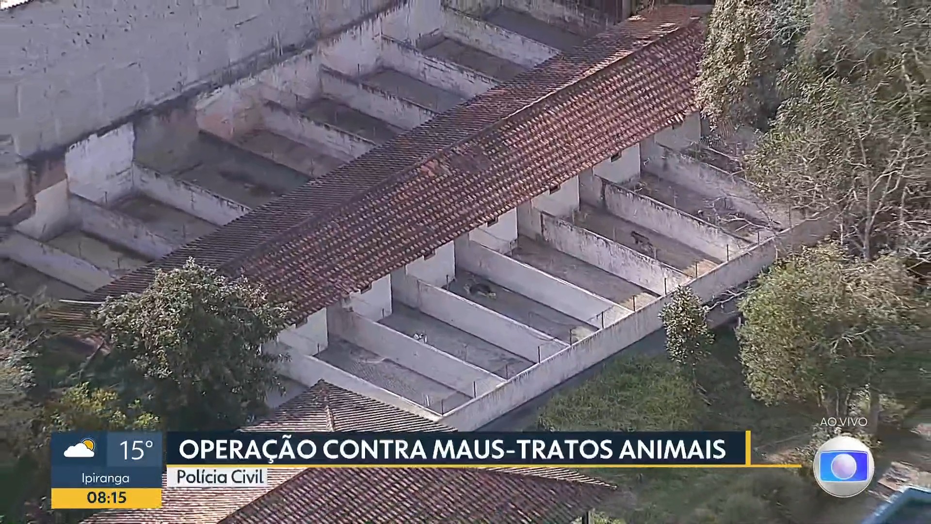 Polícia encontra 100 animais em situação de maus-tratos em ONG de SP; veterinária é investigada