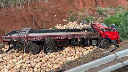 Caminhão carregado com abóboras tomba em ribanceira na BR-116