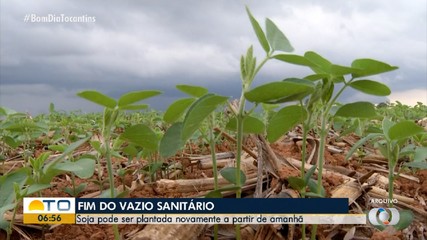 Adapec divulga janela para plantio da soja no Tocantins; cadastro começa em 1º de outubro