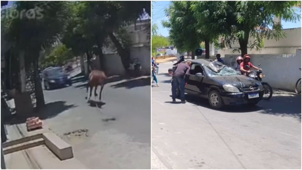 Cavalo colide de frente e destrói veículo em Canindé, no Ceará — Foto: TV Verdes Mares/Reprodução