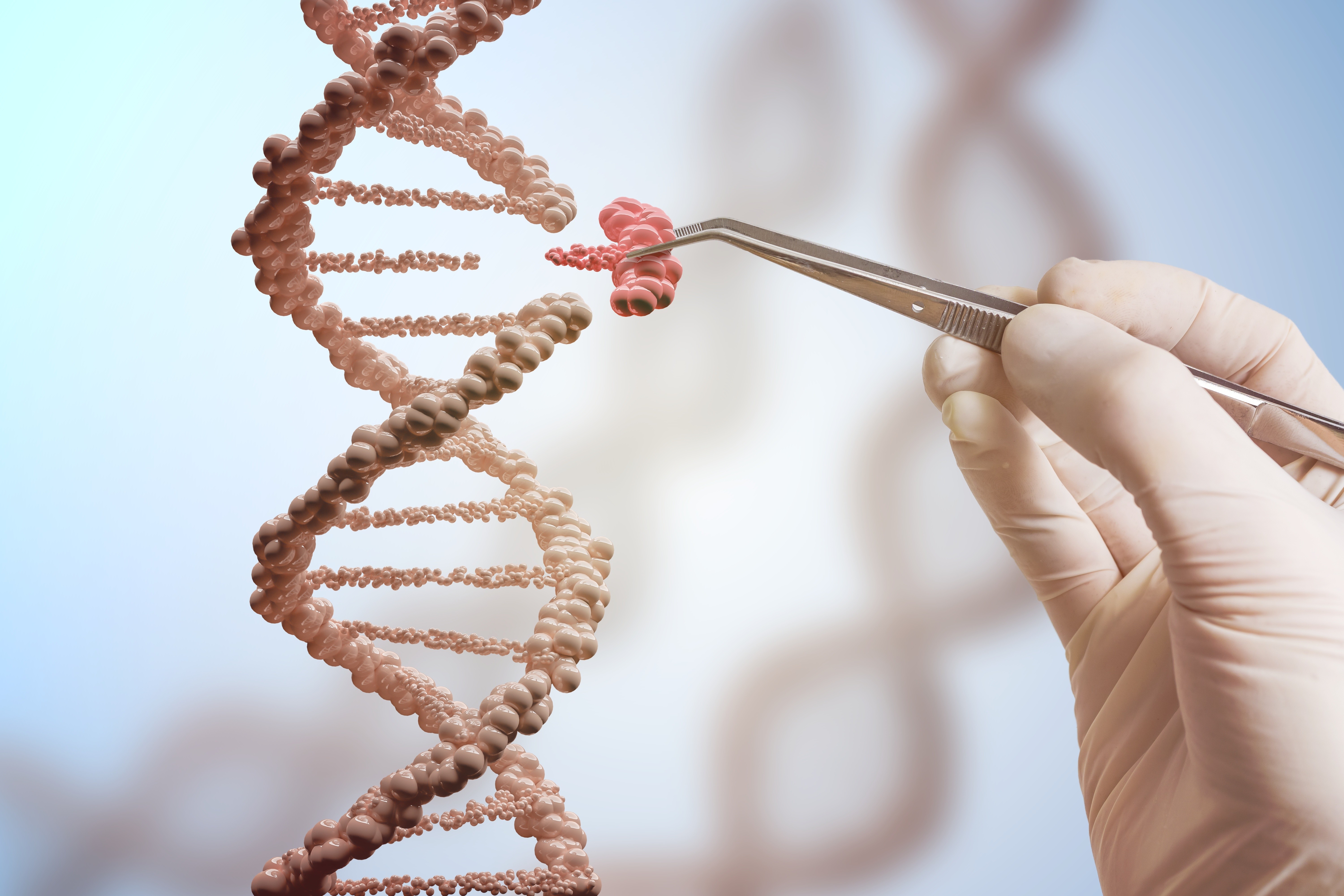 Cientistas encontram gene humano em vírus de molusco contagioso que infecta a pele; ‘roubo’ ocorreu há 100 mil anos