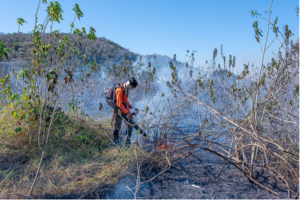 Combate é feito direto contra o fogo. — Foto: Gustavo Figueirôa/Arquivo Pessoal