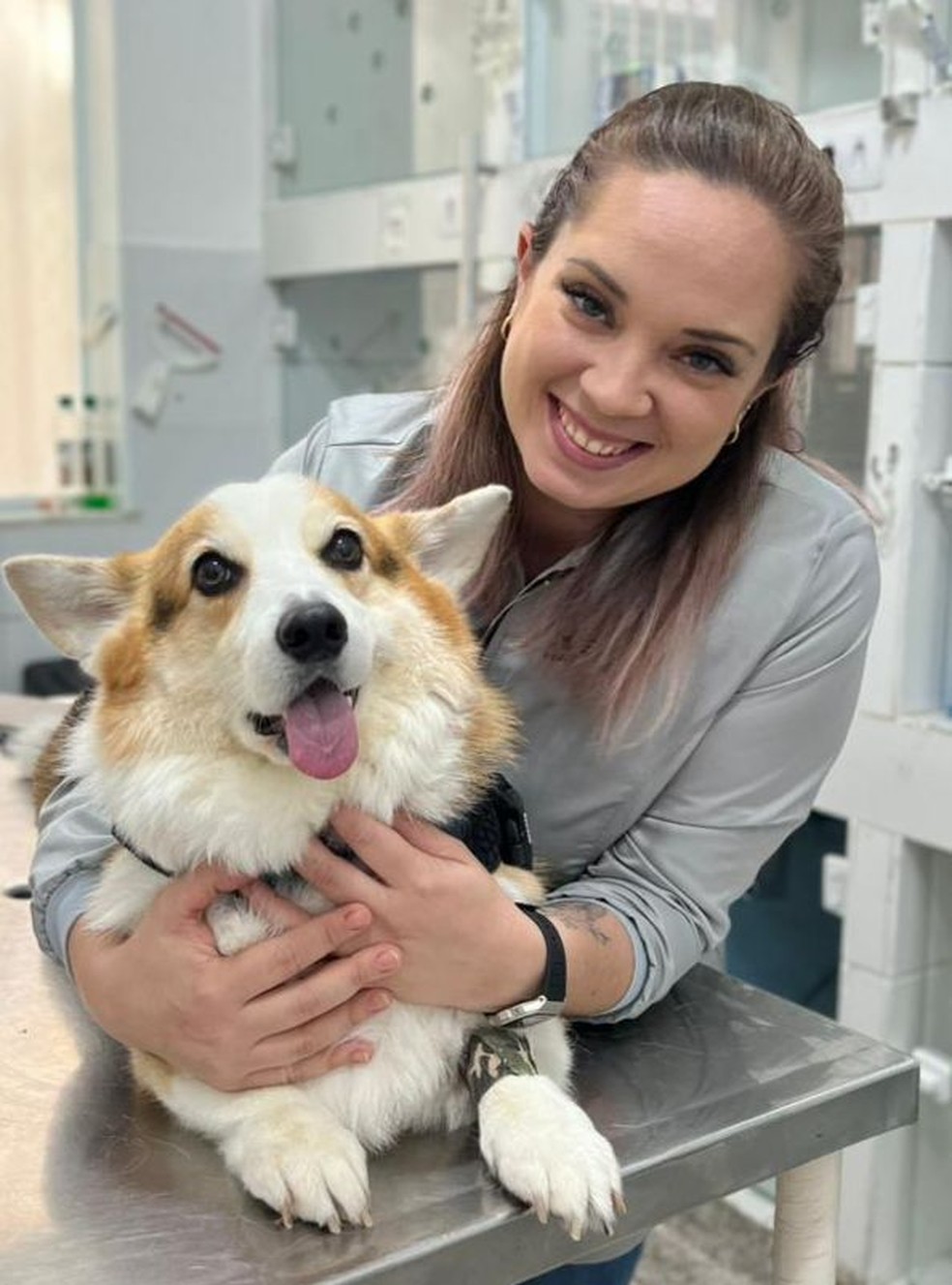 A veterinária Larissa Nunes afirma que, durante a gestação em pets, a vermifugação e a vacinação devem estar em dia  — Foto: Arquivo pessoal