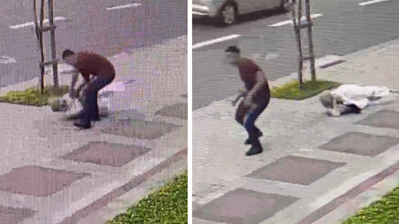 VÍDEO: idosa é agredida e derrubada por ladrão em calçada de BH