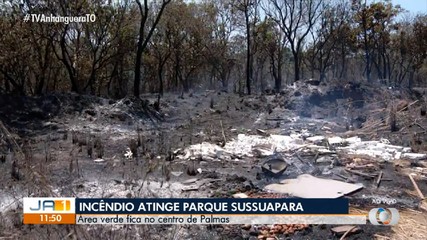 Incêndio no Parque Sussuapara, em Palmas, é controlado