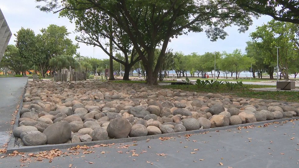 Jardim de Pedras no MAM — Foto: Reprodução/TV Globo
