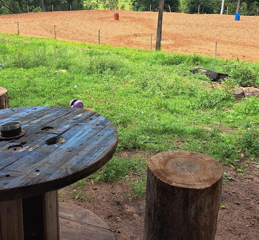 Proprietária de cavalo foi multada em R$ 3 mil, nesta sexta-feira (20), em Pirapozinho (SP) — Foto: Polícia Ambiental