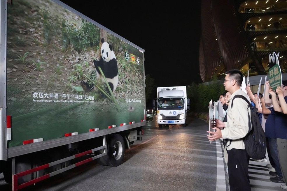 Os pandas-gigantes Ping Ping e Fu Shuang durante cerimônia de despedida antes de deixarem Chengdu, na China, rumo aos Estados Unidos, em 27 de setembro de 2026 — Foto: AP