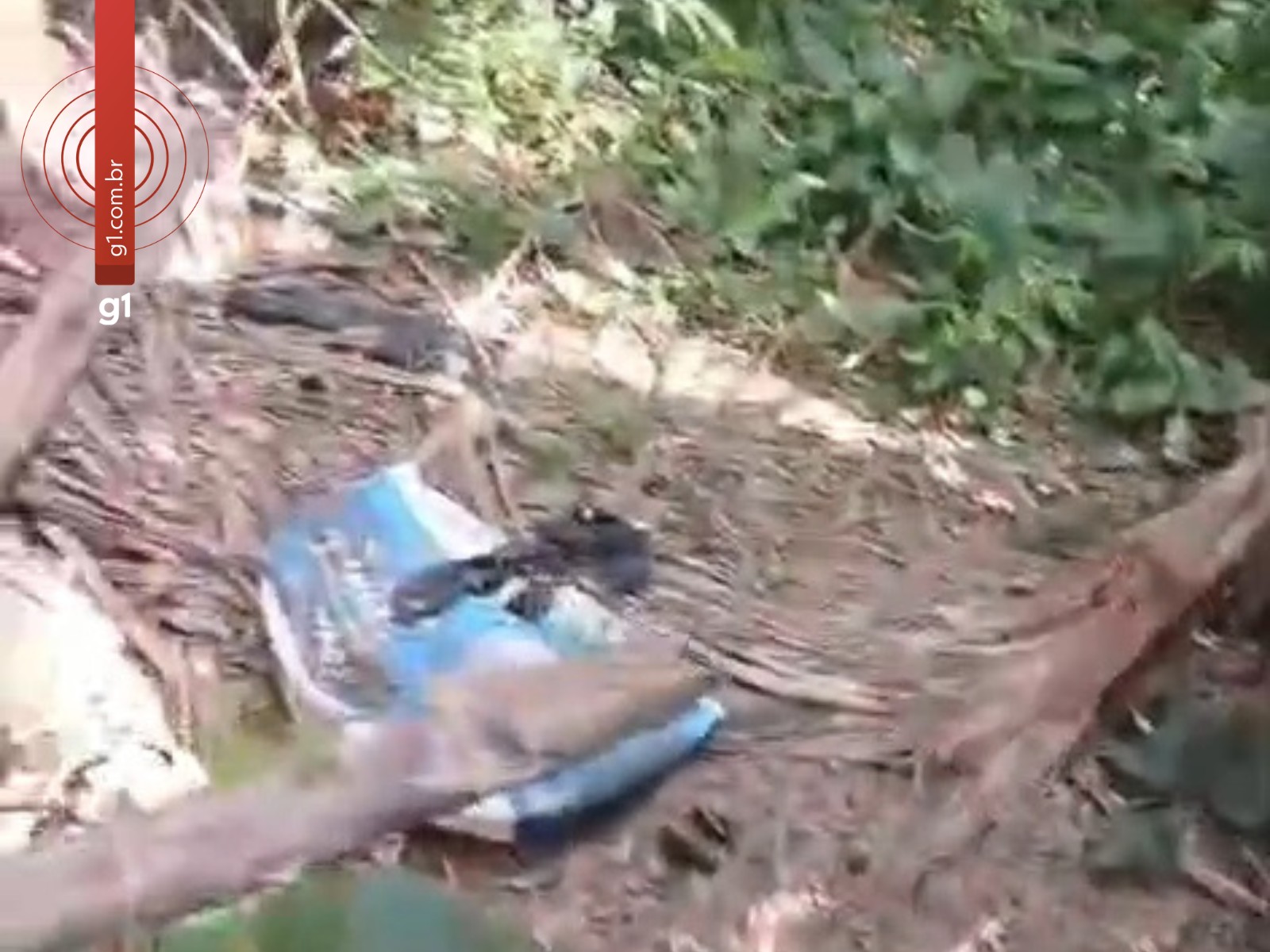 Ossada achada em mata pode ser de homem que teve perna encontrada no Acre