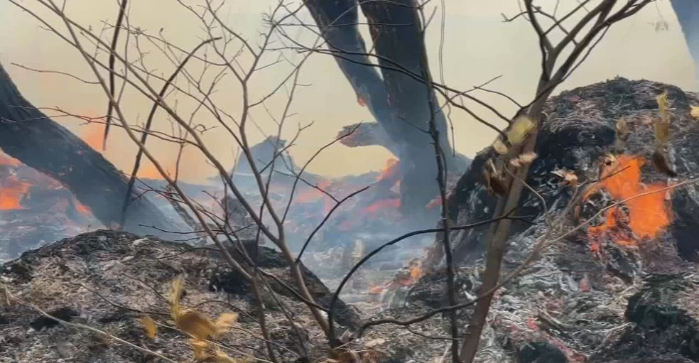 Incêndios são controlados em Alto Alegre após cinco dias