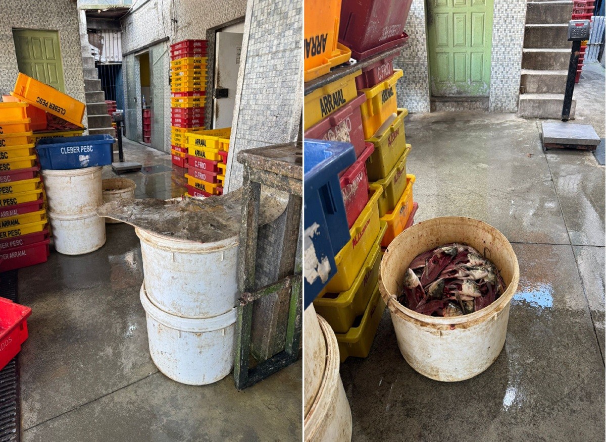 Fundação de Pesca destina mais de 36 toneladas de resíduos de pescado para reaproveitamento em Arraial do Cabo