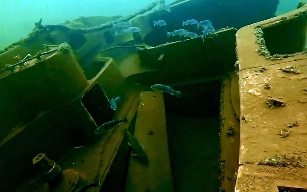 Peixes ainda podem ser vistos em níveis mais altos do lago — Foto: Scubaminas Mergulho