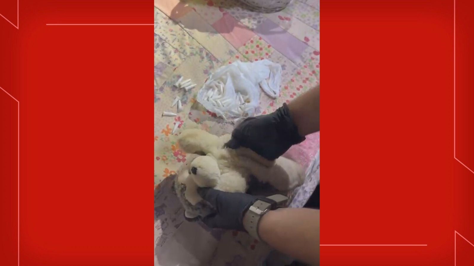 Suspeito de tráfico no DF escondia drogas em urso de pelúcia; veja VÍDEO